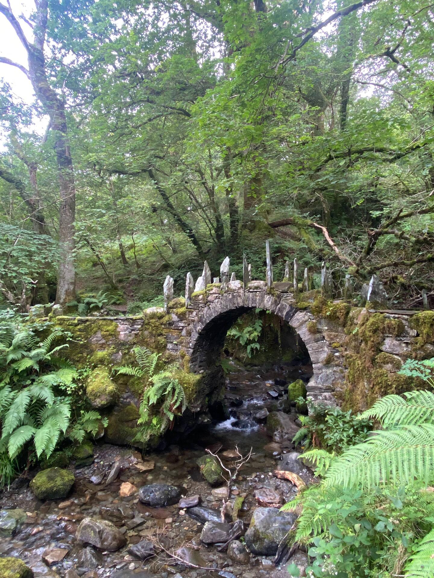 Fairy Bridge ✨
