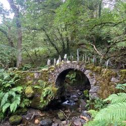 Fairy Bridge ✨