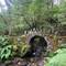 Fairy Bridge ✨