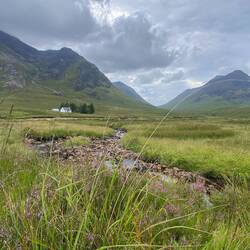 The Wee Withe House
