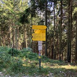 Viele Wege führen zur Stoißer Alm und für uns sind es da noch 10 Minuten