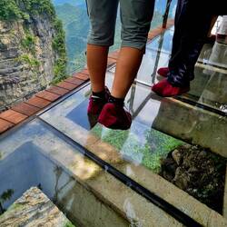 "Finken" für den gläsernen Skywalk!🤣