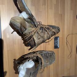 Fish skin boots