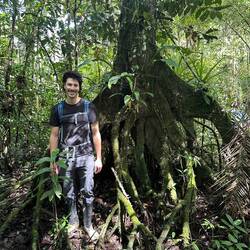 In peak wet season the water level can reach the top of these roots!