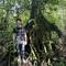 In peak wet season the water level can reach the top of these roots!