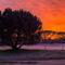 Sunrise on the Last Morning