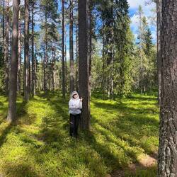There were so many trees, two panos were needed