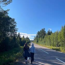 The road home