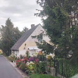 auf dem Weg