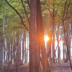 ... inklusive Sonnenuntergang