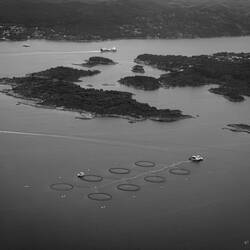 Looks like a fish farm is being repositioned ... on approach to BGO.