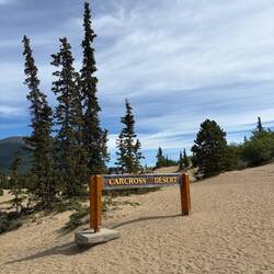 Carcross Desert