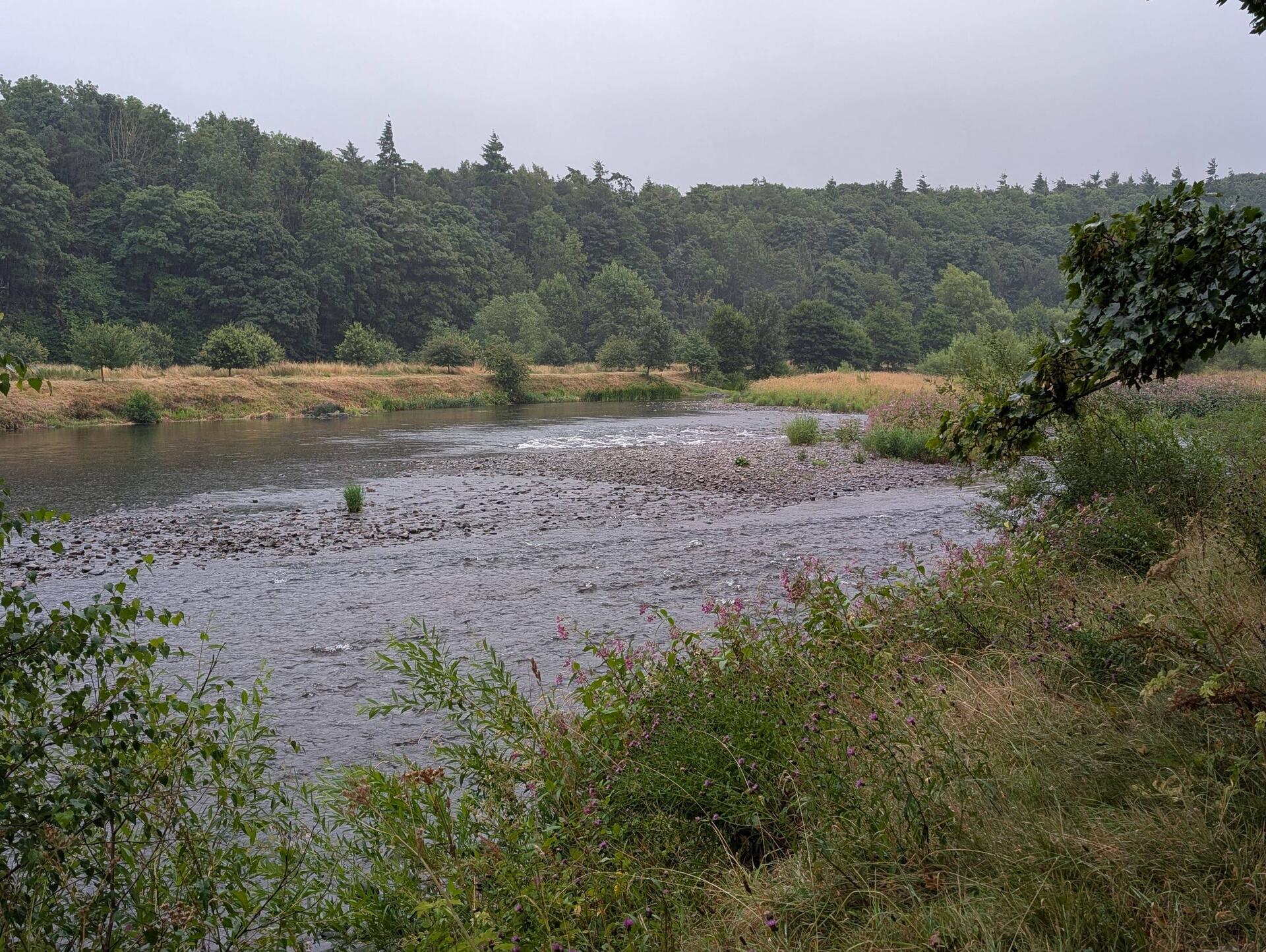Tweed, low