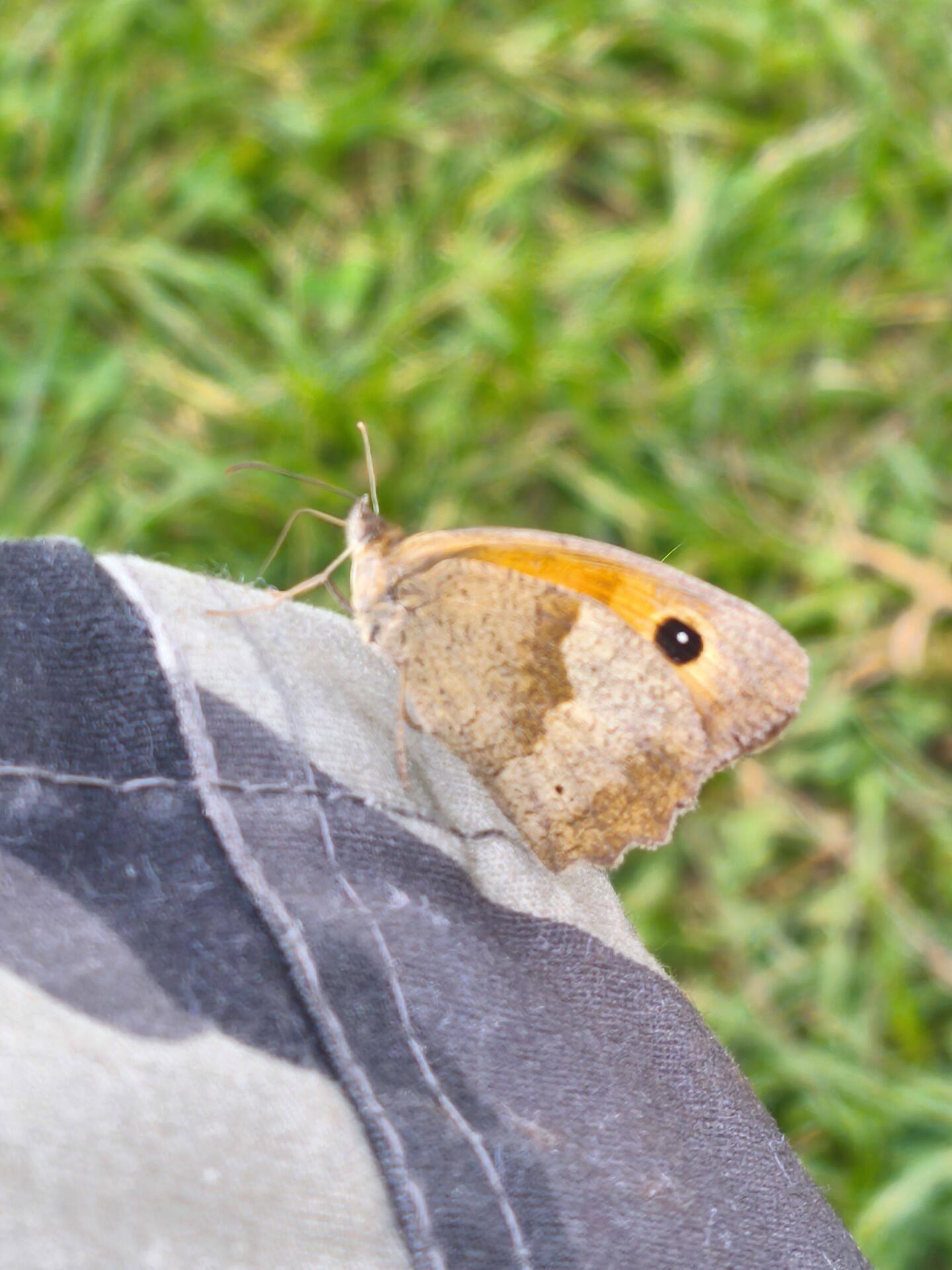 Besuch am Campingplatz