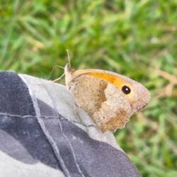 Besuch am Campingplatz