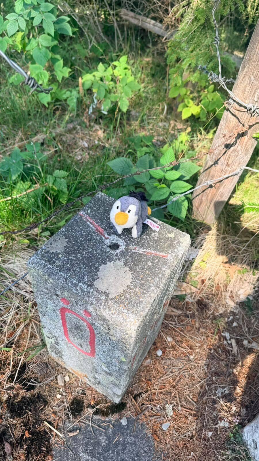 Heut gabs immer wieder Grenzsteine - Pingu ist schon mal nach Liechtenstein