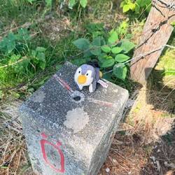 Heut gabs immer wieder Grenzsteine - Pingu ist schon mal nach Liechtenstein