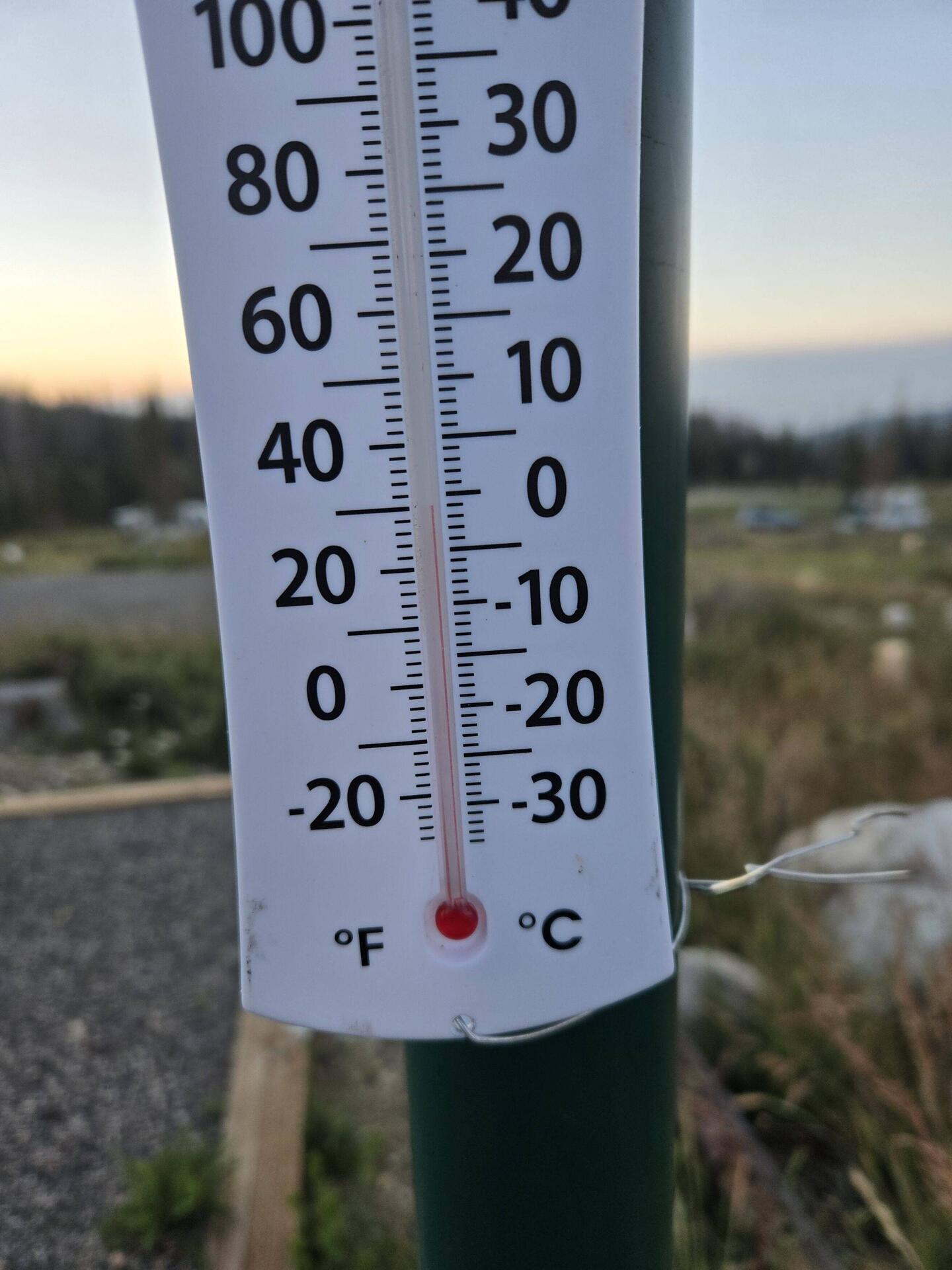 This morning at 6 am it was below freezing.