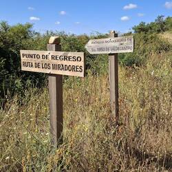 Random signs...never saw a thing!