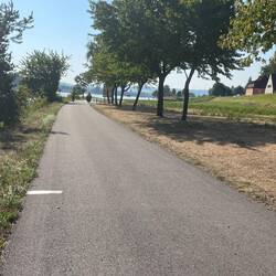 Lovely path