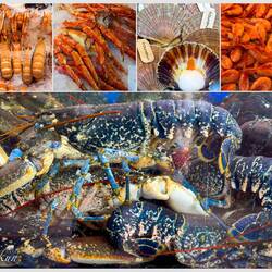 Fresh seafood; at Mathallen, the indoor fish market overlooking Vågen; opened in 2012 — Bergen.