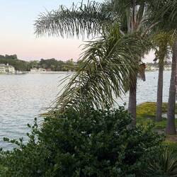 Eating on the Lake