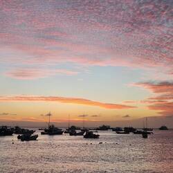 Seriously could this sunset get any more beautiful