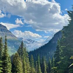 Jackson Glacier