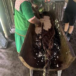 Grated yuca is packed into a tipití—a traditional woven vine press used by Amazonian communities