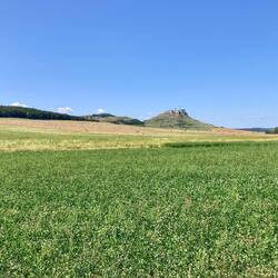 Ben weitem zu sehen - Zipser Burg