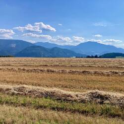 Vor mir ist die Niedere Tatra