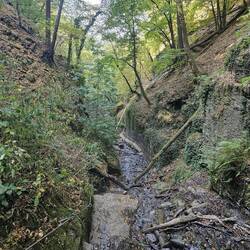 Hab nicht mit seilversicherte Stellen in der Klamm gerechnet.