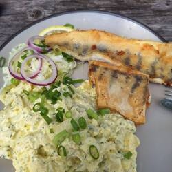 Zander mit Kartoffelsalat