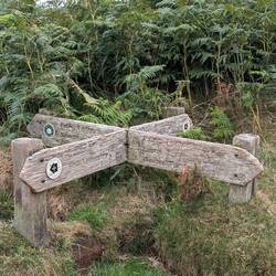 Weathered crossroads