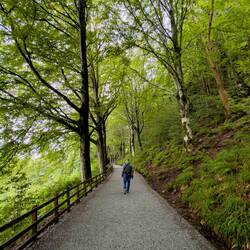 Finally heading down the trail to the city center — Bergen, Norway.