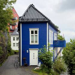 Residential street on our way down from Mt Fløyen — Bergen, Norway.