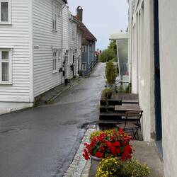 Residential street on our way down from Mt Fløyen — Bergen, Norway.