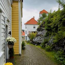 Residential street on our way down from Mt Fløyen — Bergen, Norway.