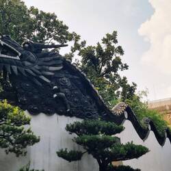 Der Drache bewahrt vor bösen Geistern ...