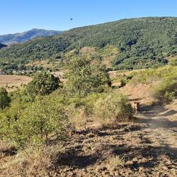 Buiza in the background