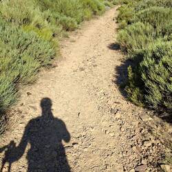 Just me n my shadow today...no pilgrims til I got to my destination