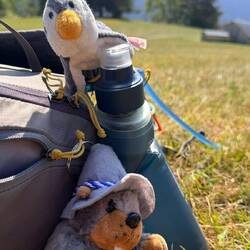 Best buddies beim Gipfel chilln (nach dem jodeln)
