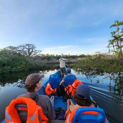 Searching for Anacondas