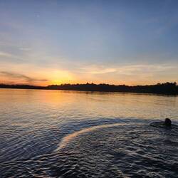 Our final sunset swim in Lagunda Grande. Even our guide jumped in!