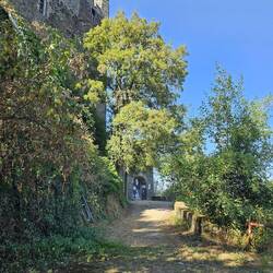 Burg Maus