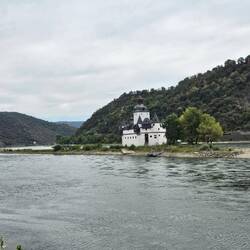 Kaub Burg Pfalzgrafenstein