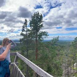 Pano