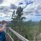 Pano