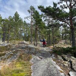 The rock path