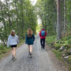 Into the woods again